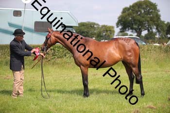 BBX-1215