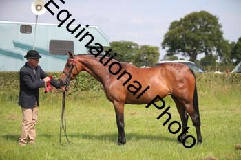 BBX-1217