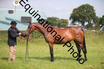 BBX-1218