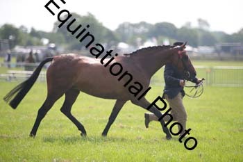 BBX-1224