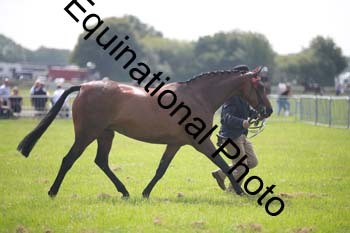 BBX-1226