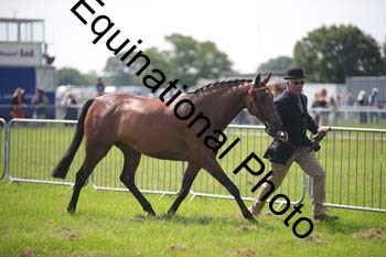 BBX-1228