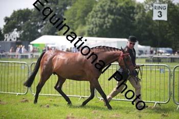 BBX-1229