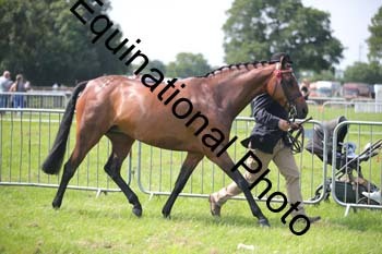 BBX-1230