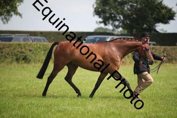 BBX-1233