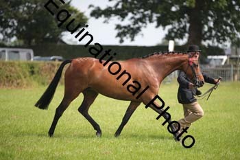 BBX-1234