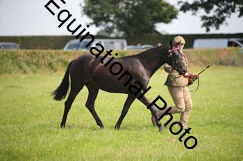 BBX-1257