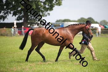 BBX-1285
