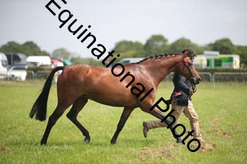BBX-1286