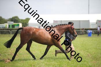 BBX-1287