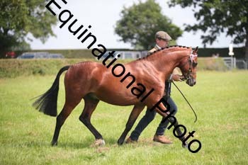 BBX-1289