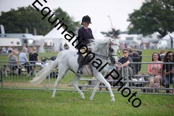 BBX-1294