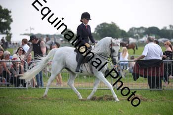 BBX-1295