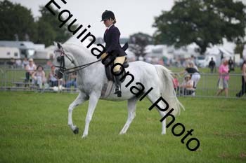 BBX-1299