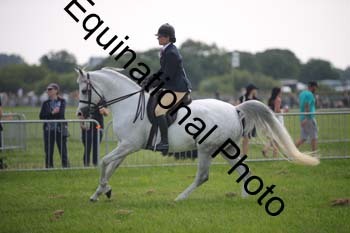 BBX-1308