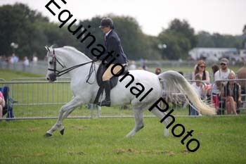 BBX-1309