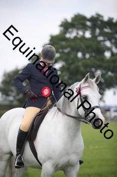 BBX-1321