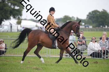 BBX-1338