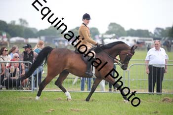 BBX-1356
