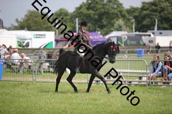BBX-1357