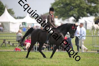 BBX-1359