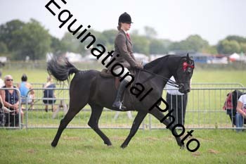 BBX-1361