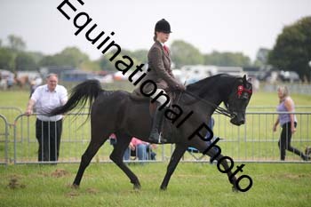 BBX-1362
