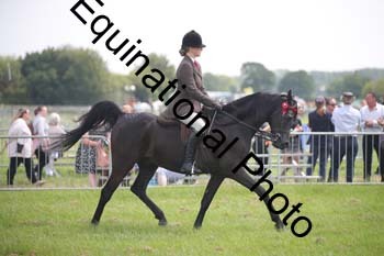 BBX-1363