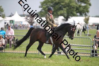 BBX-1366