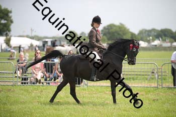 BBX-1372