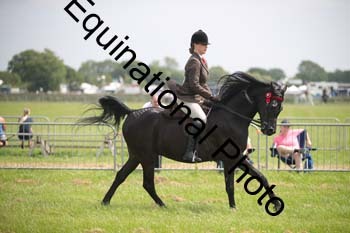 BBX-1373