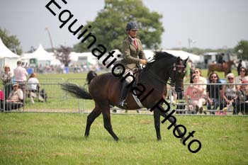 BBX-1374