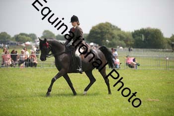 BBX-1378