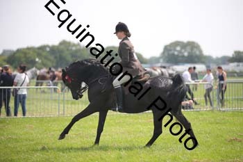 BBX-1386