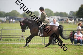 BBX-1390