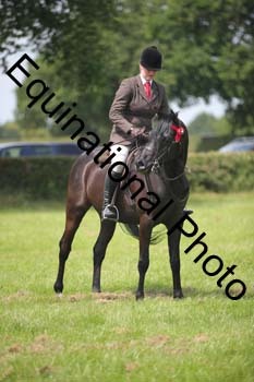 BBX-1391