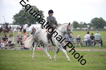 BBX-1462