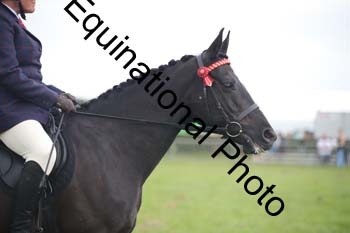 BBX-1478