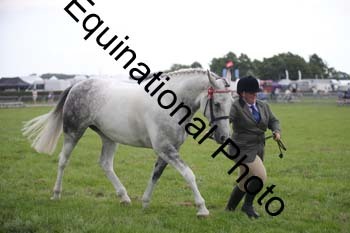 BBX-1486