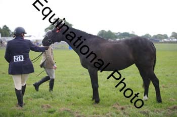 BBX-1487