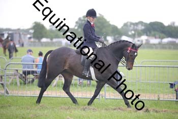 BBX-1534