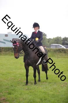 BBX-1540