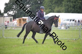 BBX-1574