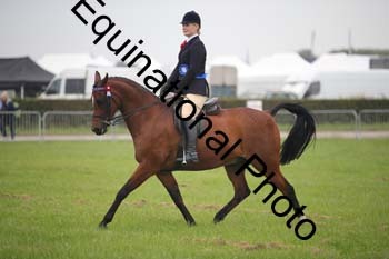 BBX-1585