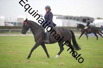 BBX-1587
