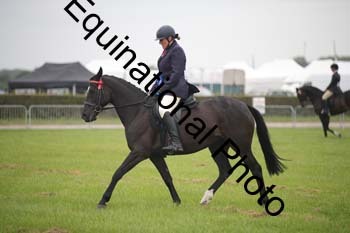 BBX-1588