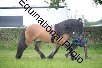 BBX-1666