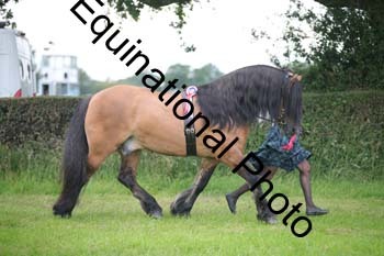BBX-1667