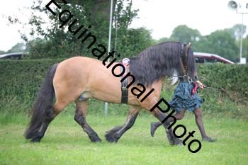 BBX-1668
