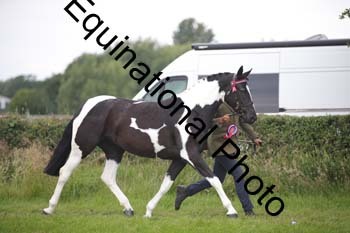 BBX-1722